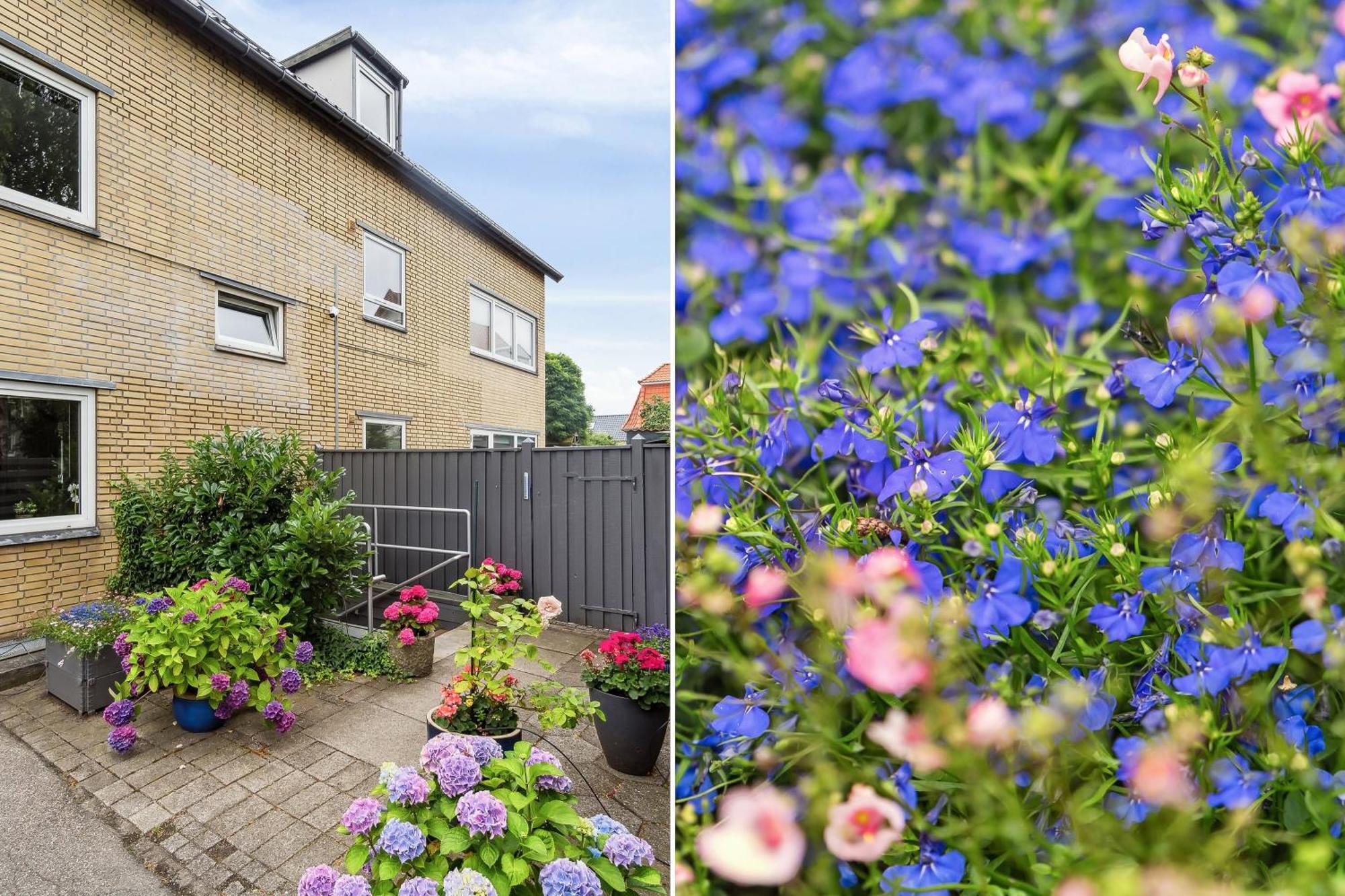 Cosy Apt. In Near Airport- Metro-beach. Leilighet *